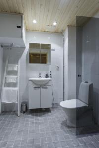 a bathroom with a toilet and a sink and a shower at Vasko luxurious suites, Vasko in Rovaniemi +16 photos