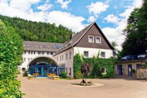 ein großes Gebäude mit einem Hund davor in der Unterkunft Hotel garni Grundmühle in Bad Schandau