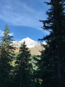 ヴァルフルヴァにあるAgriturismo Malga Dell'Alpeの雪山