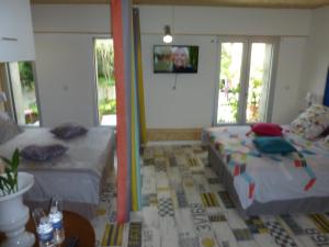 TV a/nebo společenská místnost v ubytování Le patio d'Eric B&B