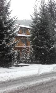 una casa en la nieve con árboles delante en Helena, en Piwniczna-Zdrój