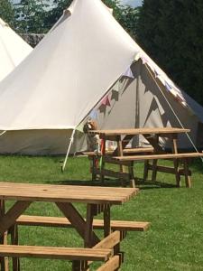 Φωτογραφία από το άλμπουμ του Cong Glamping σε Cong