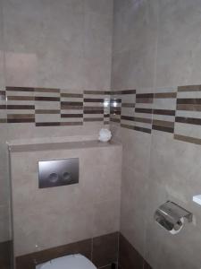 Koupelna v ubytování Apartman Ana