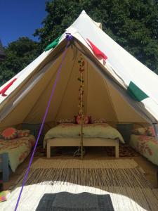 Φωτογραφία από το άλμπουμ του Cong Glamping σε Cong