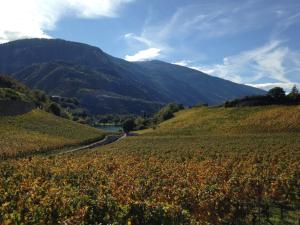 Loodusmaastik of the bed and breakfast lähedal