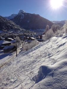 モルジヌにあるLa combeの雪山