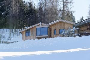 Chalet Alm Planai v zime