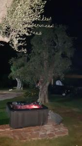Un árbol y un monumento en un parque por la noche en Crisam, en Sabaudia