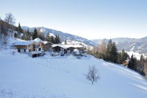 Chalet Alm Planai v zime