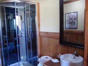 ein Badezimmer mit Dusche, Toilette und Waschbecken in der Unterkunft Merken Bed & Breakfast in Villarrica
