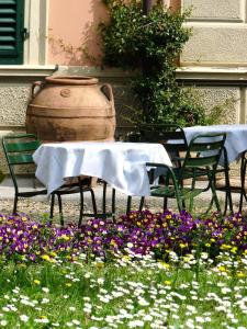 A garden outside Classic Hotel