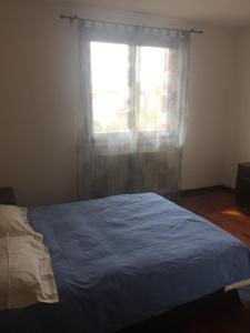 VirgilioにあるCasa Martinaのベッドルーム(青いベッド1台、窓付)