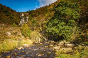 a river with rocks and trees on a mountain at Lake Vyrnwy Hotel & Spa in Llanwddyn