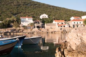two boats docked in a body of water with houses at Apartmani Marko in Gdinj