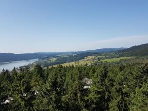 Príroda v okolí dovolenkového domu