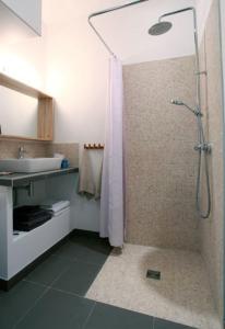 uma casa de banho com um chuveiro e um lavatório. em La Cour du 5ème - Chambre d'hôtes em Paris