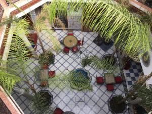 Riad Chennaoui外面的花园