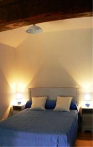 a bedroom with a blue bed with two lamps on it at Lou Lombrès in Lombrès