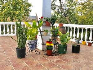 Balkon lub taras w obiekcie Casa rural en Constantina