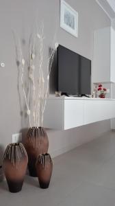マテーラにあるXeniaのテレビの前に座る茶色の大きな花瓶