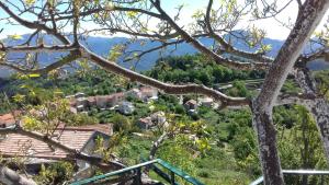 Billede fra billedgalleriet på Villa Emmony i Santo-Pietro-di-Venaco