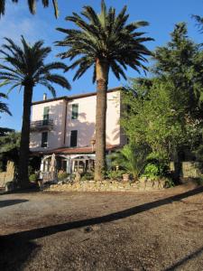 um edifício com duas palmeiras em frente em Hotel Ristorante Il Caminetto em Diano Marina