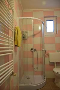 uma casa de banho com um chuveiro e um WC. em Guest house Ema em Daruvar