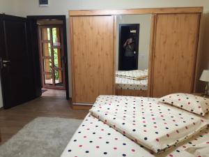 een slaapkamer met een bed met stippen en een spiegel bij Casa Belazur in Deva