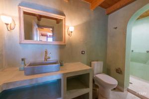 een badkamer met een wastafel, een toilet en een spiegel bij Kallisto Mountain House I in Arachova