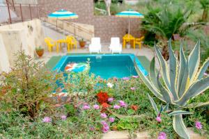 a swimming pool in a garden with flowers and umbrellas at Guest House Planet MOV in Adler