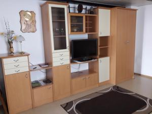 a large wooden bookcase with a tv and a televisionicterotentotenthedonhedon at D-D in Bovec