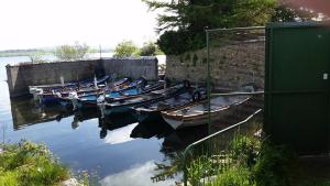 a group of boats are docked in the water at Lakeside Loughrea in Loughrea