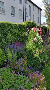 a garden of flowers in front of a building at Lakeside Loughrea in Loughrea