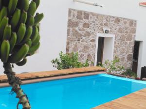 Bazén v ubytovaní Villa Canaria piscina jacuzzi jardín alebo v jeho blízkosti