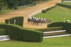 a group of horses racing on a race track at le 7 pompadour in Pompadour +9 photos