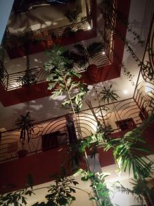 a room with a bunch of plants on the wall at Hotel Martell in San Pedro Sula