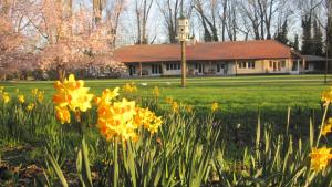 a field of flowers in front of a building at Rose Cottage at The Elms in Christchurch