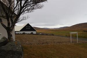 a black and white barn in a field with a tree at Guesthouse Steindórsstadir, West Iceland in Reykholt