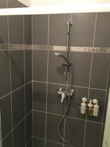 a shower with a hose in a bathroom at Sleep in Paris Val d'Europe in Chessy