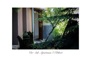 a door to a building with a tree at Vár-Lak Apartman in Eger