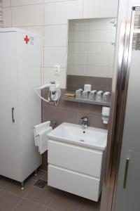 a bathroom with a white sink and a mirror at Apartmani Ivana in Bjelovar