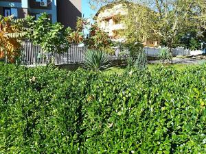 Galeriebild der Unterkunft Park 1 in Kiten