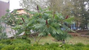 Galeriebild der Unterkunft Park 1 in Kiten + 32 Fotos