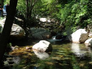 um riacho de água com pedras numa floresta em Apartment Maison Fanjeaud em Pézenas mais 7 fotografias
