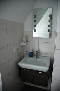 een badkamer met een witte wastafel en een spiegel bij Dinkelsbühler Hof in Dinkelsbühl