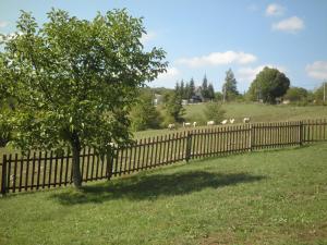 Vonkajšia záhrada v ubytovaní Apartments Poljanak