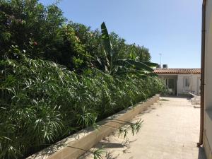 a row of bushes in front of a house at Archiammare Sea in San Lorenzo