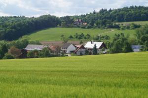 ein Grüngrasfeld mit Häusern im Hintergrund in der Unterkunft Bolderhof in Hemishofen
