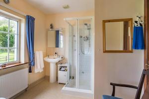 uma casa de banho com um chuveiro e um lavatório. em Ballindrum Farm B&B em Athy