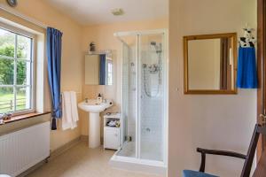 y baño con ducha y lavamanos. en Ballindrum Farm B&B, en Athy